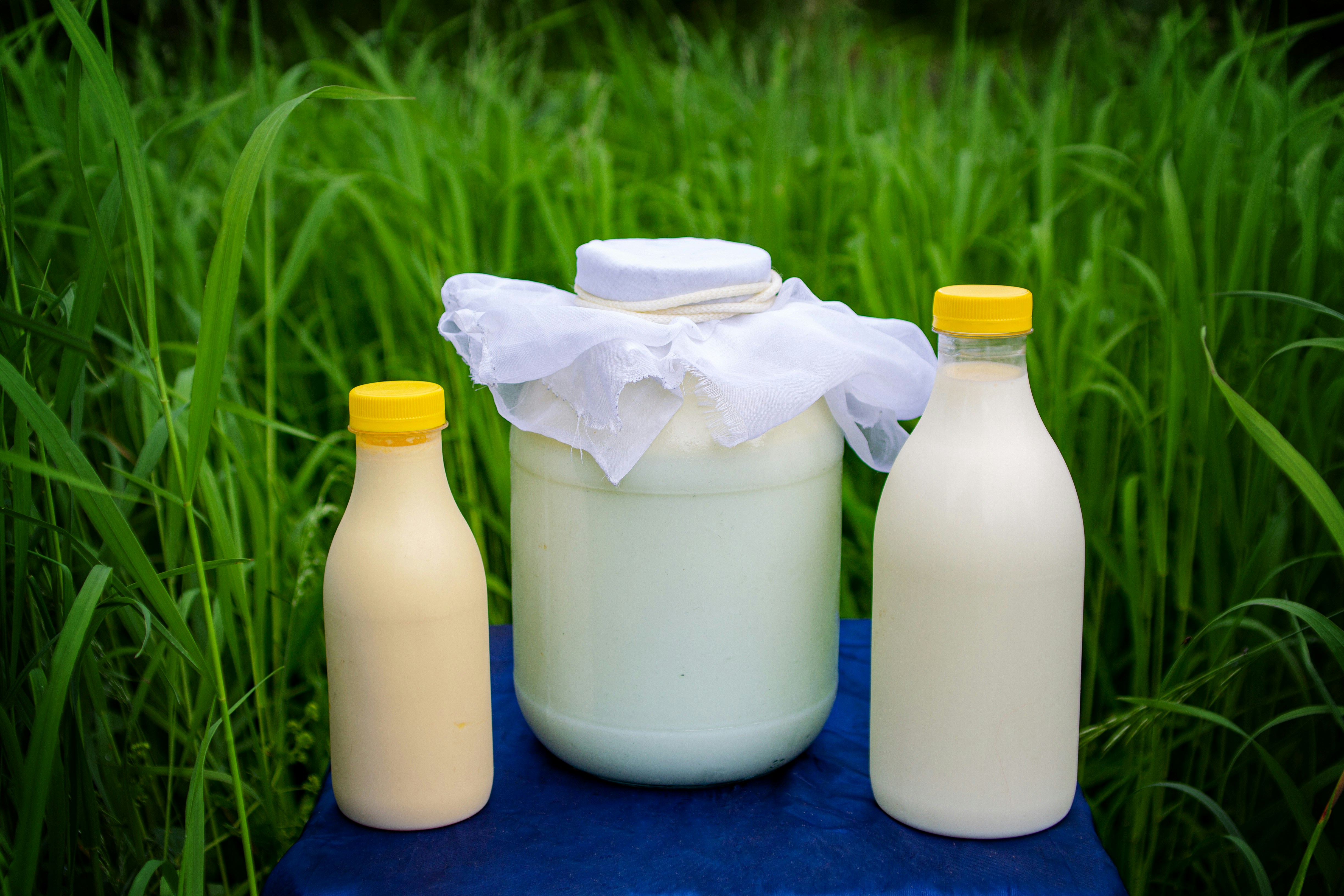 Raw milk pouring into a glass